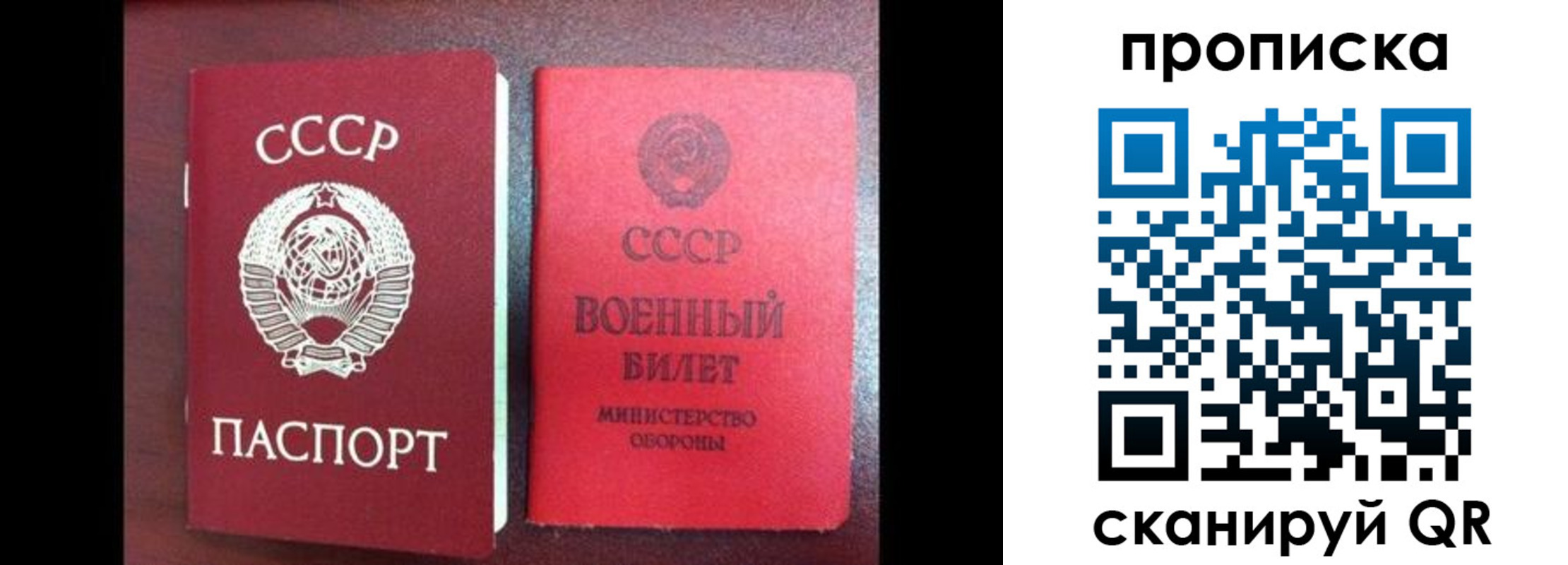 временная регистрация поиск в Шадринске